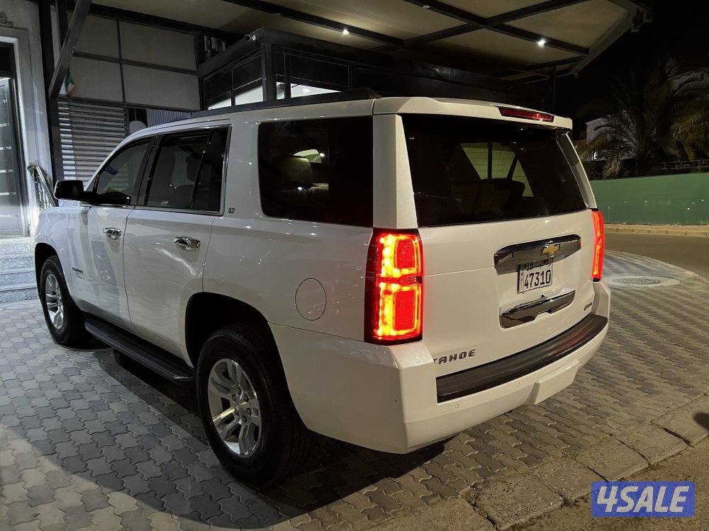 2019 الغانم دبل صبغ الوكاله4