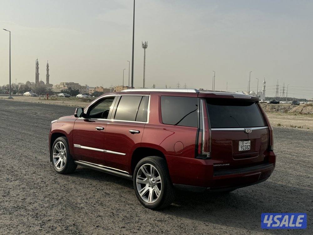 للبيع سكاليد 20184