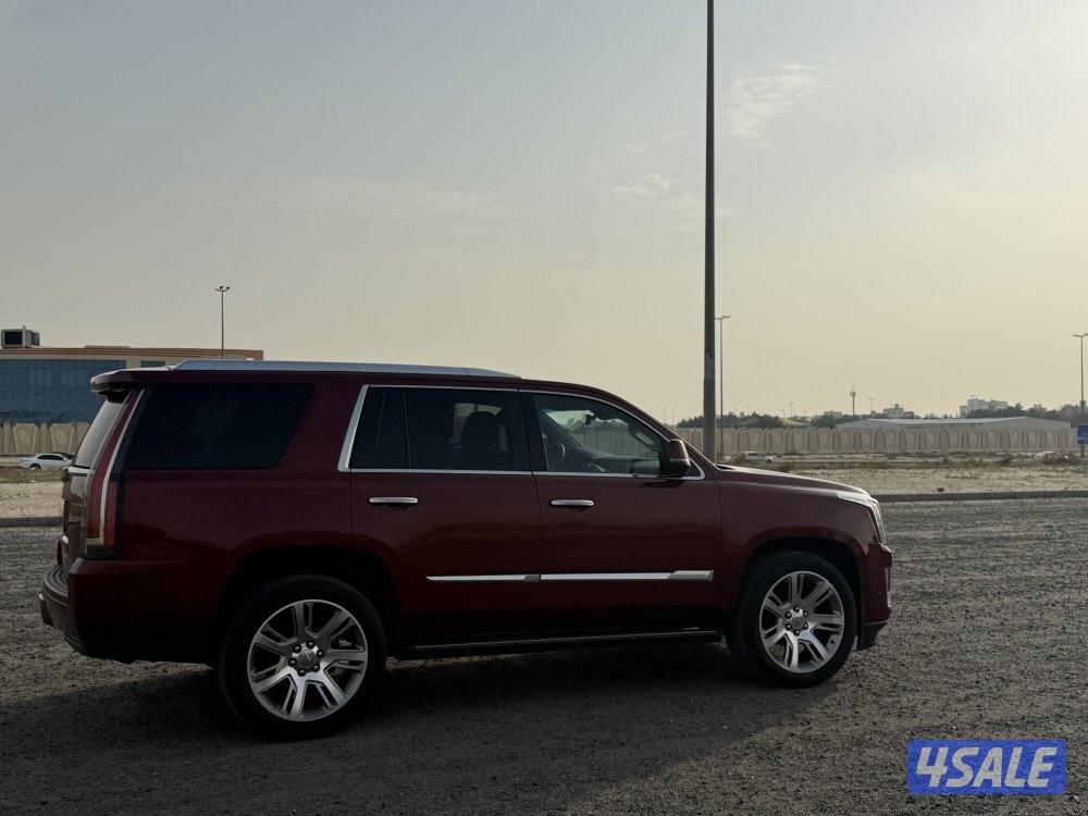 للبيع سكاليد 20186