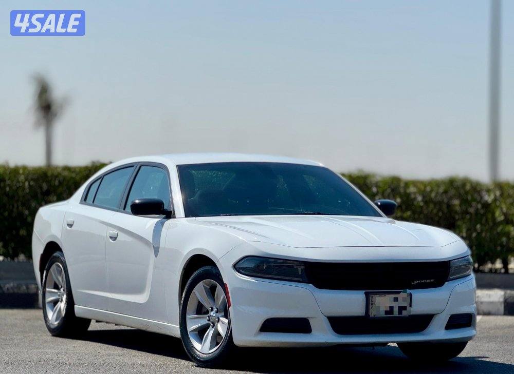 دودج تشارجر 2023 صبغ وكاله1