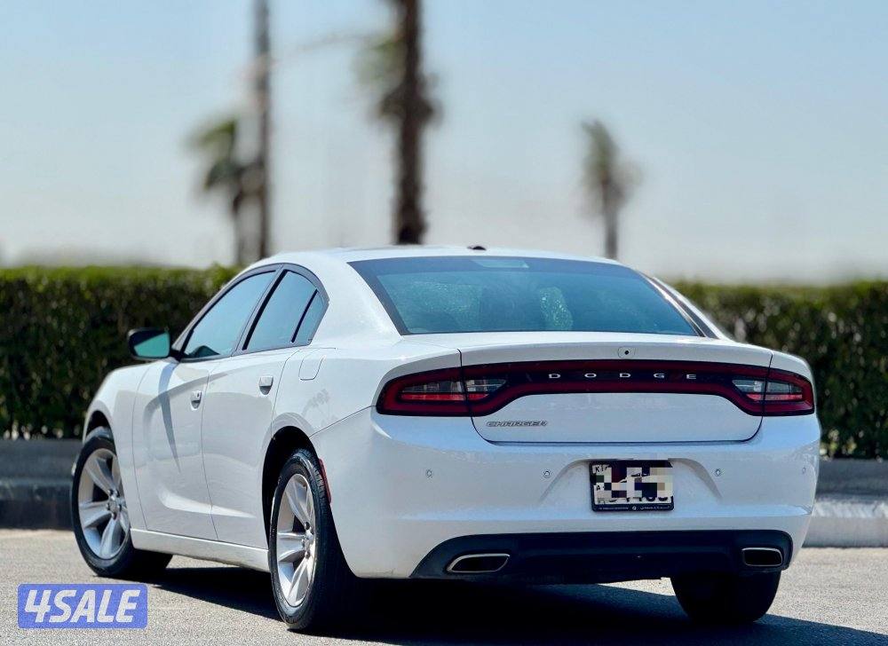 دودج تشارجر 2023 صبغ وكاله2