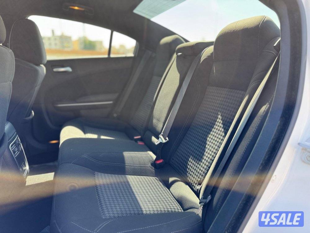 دودج تشارجر 2023 صبغ وكاله5