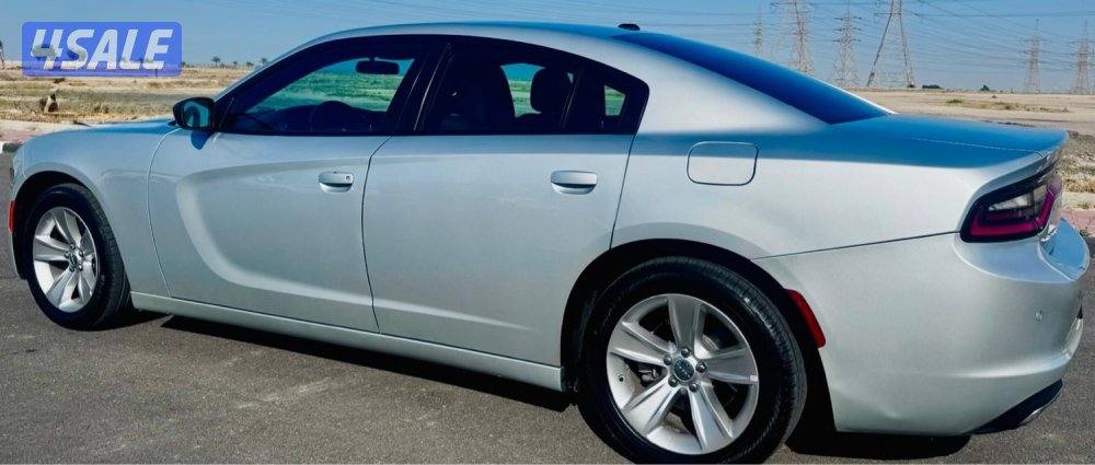 للبيع تشاجر 20233