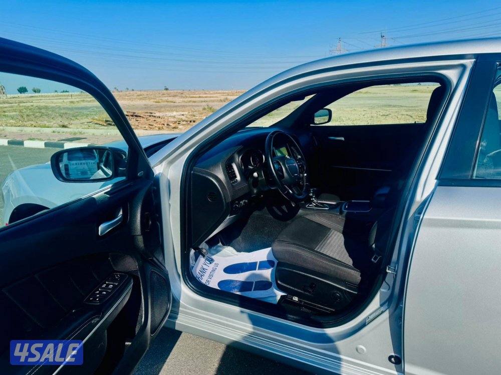 للبيع تشاجر 20234