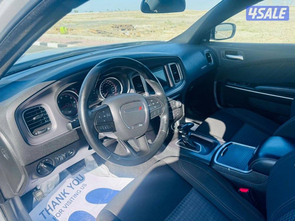 للبيع تشاجر 20235