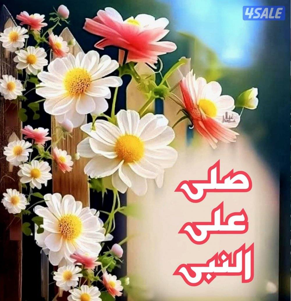 البحث عن خدمه عملاء0