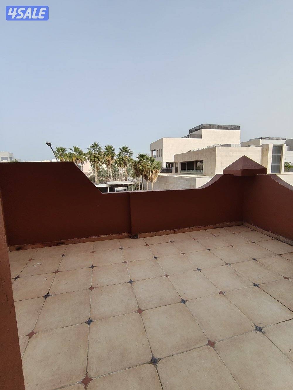 ابوالحصانية قطعة 118