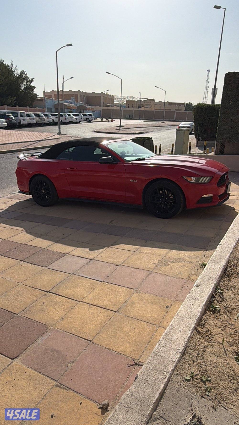 موستنق ٢٠١٦ ٦ سلندر2