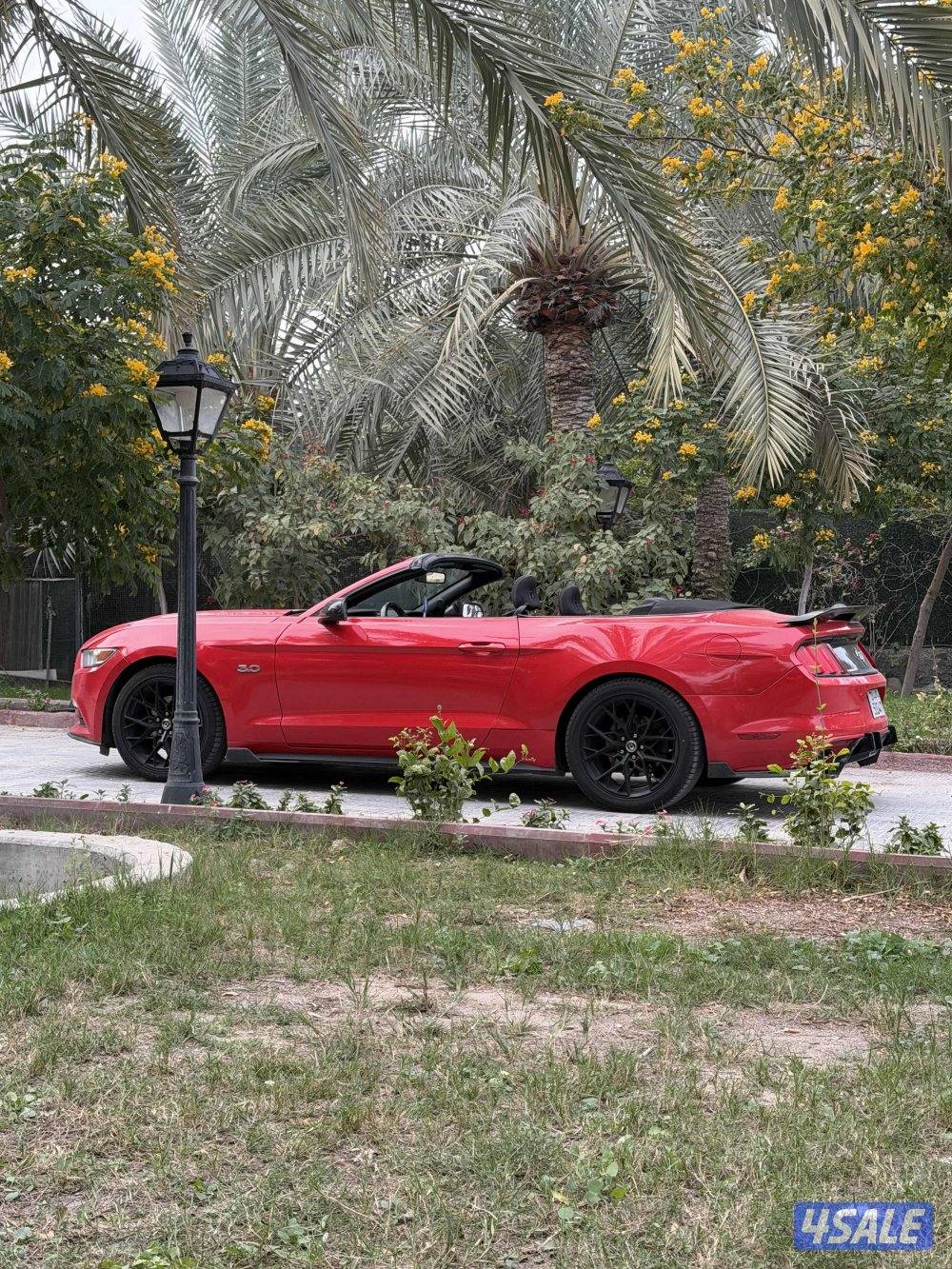 موستنق ٢٠١٦ ٦ سلندر3