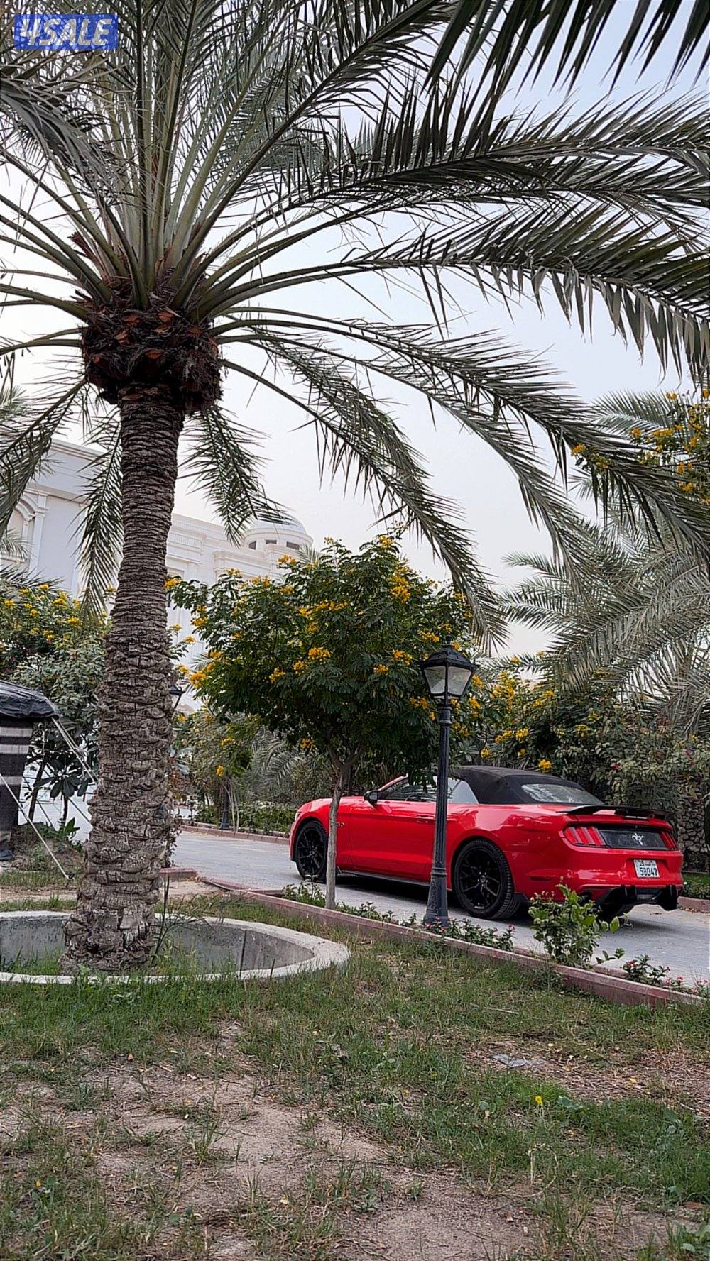 موستنق ٢٠١٦ ٦ سلندر8