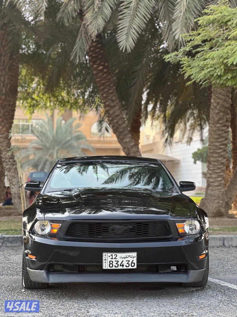 مبارك الكبير0