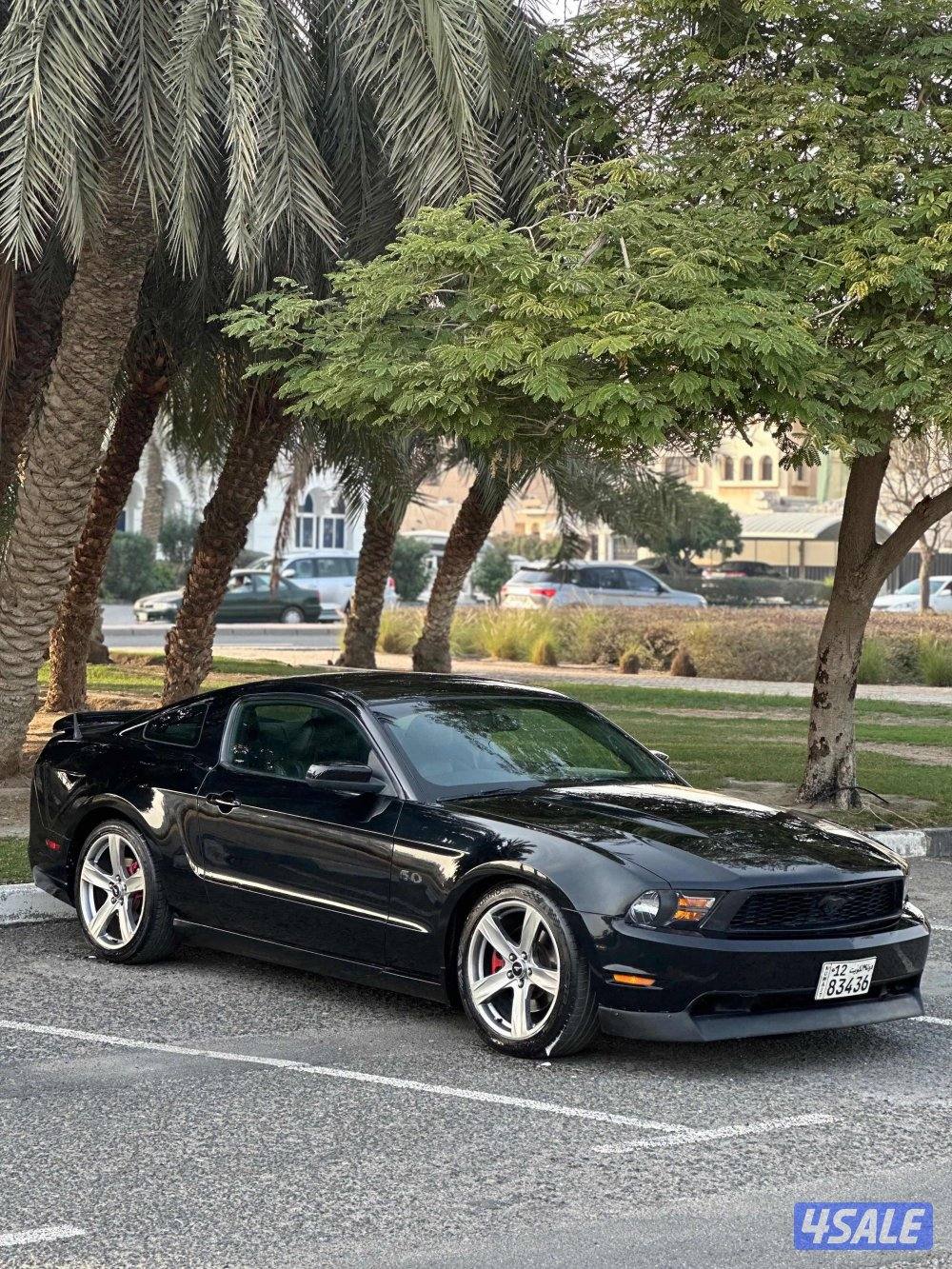 مبارك الكبير3