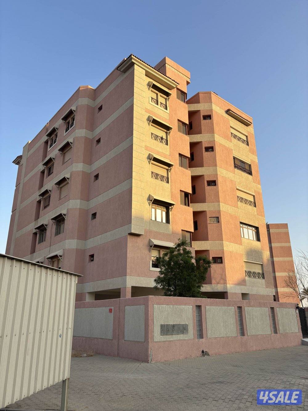 الصليبيخات0