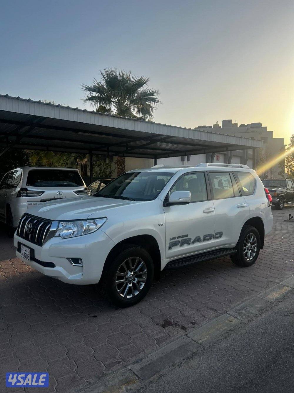 برادو TXL -2020 صبغ وكاله5