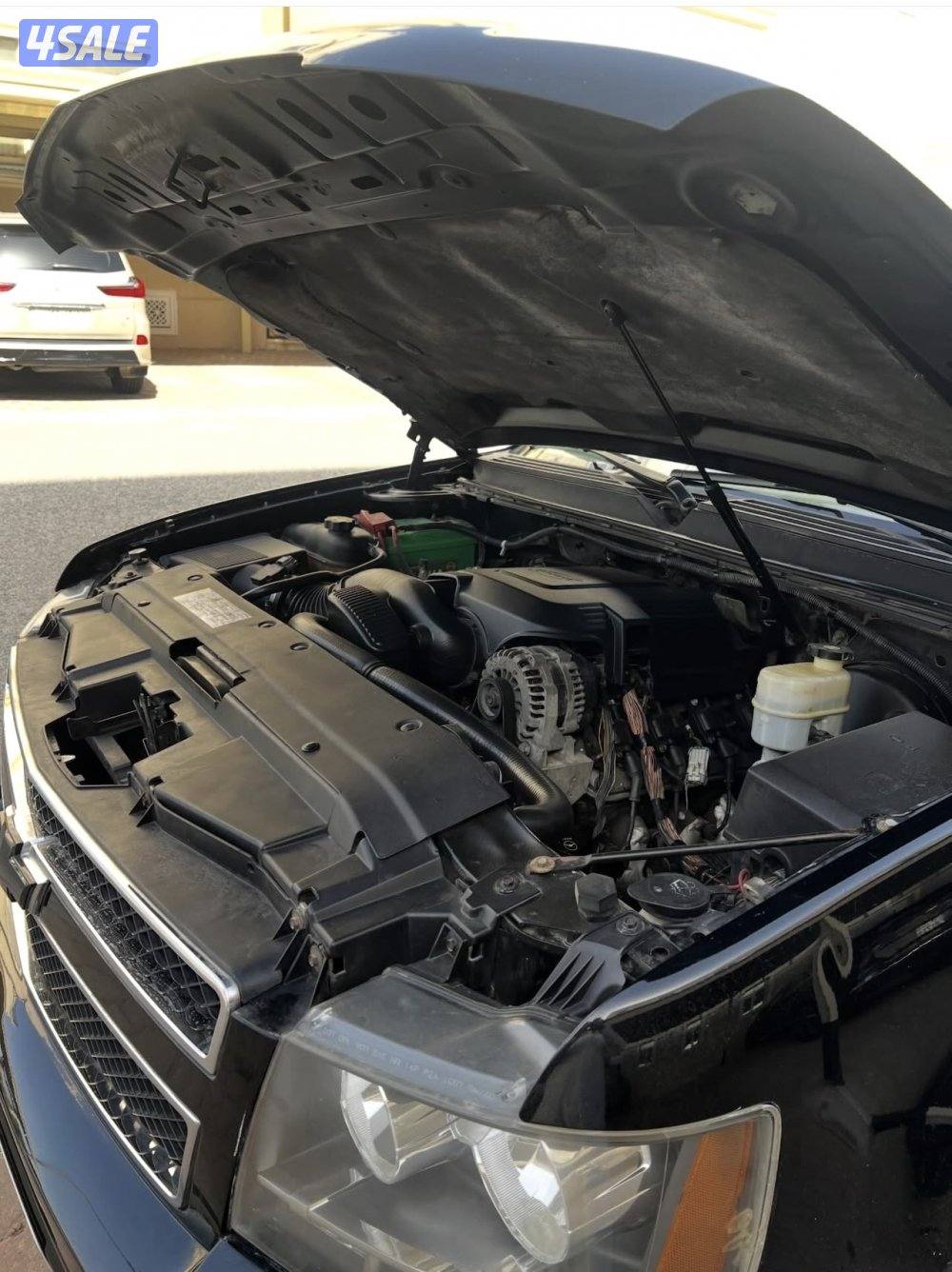 تاهو صبغ لوكالة بلكامل11