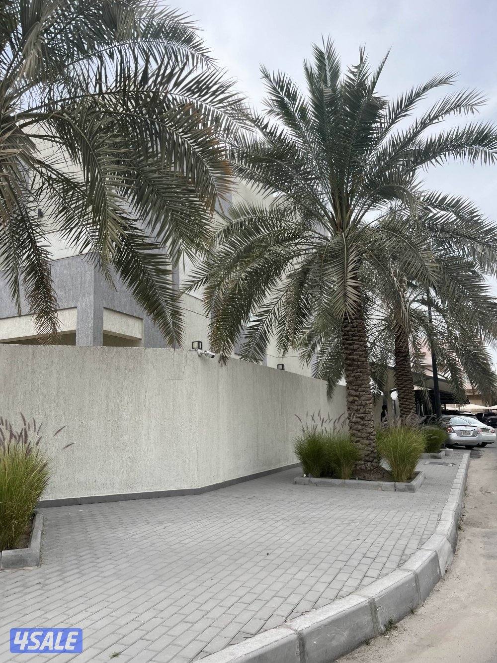 للاجارفيلا0