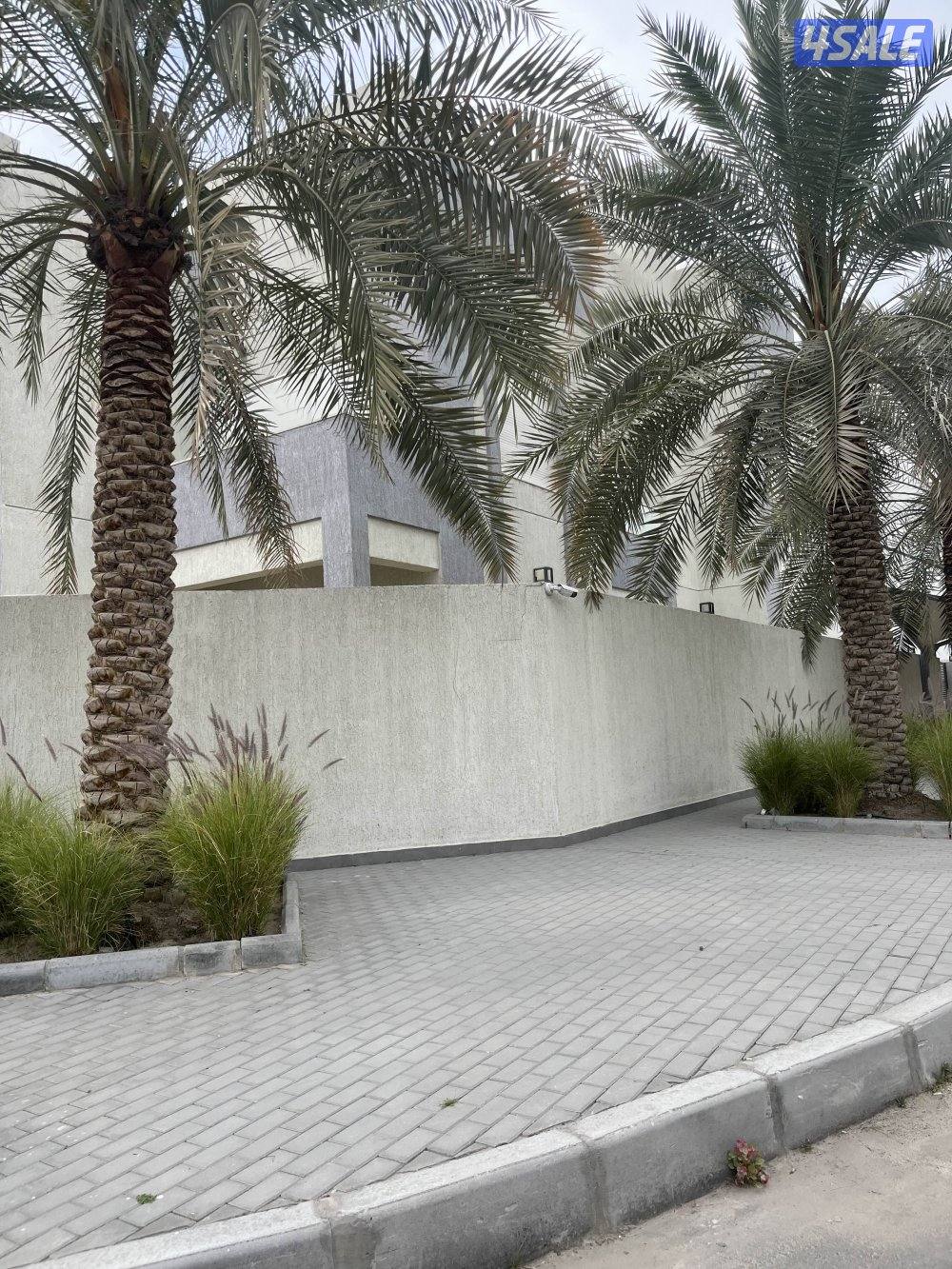 للاجارفيلا2