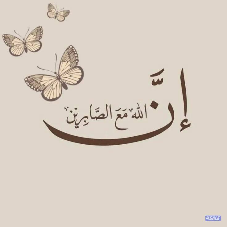 عملات رقميه usdt0