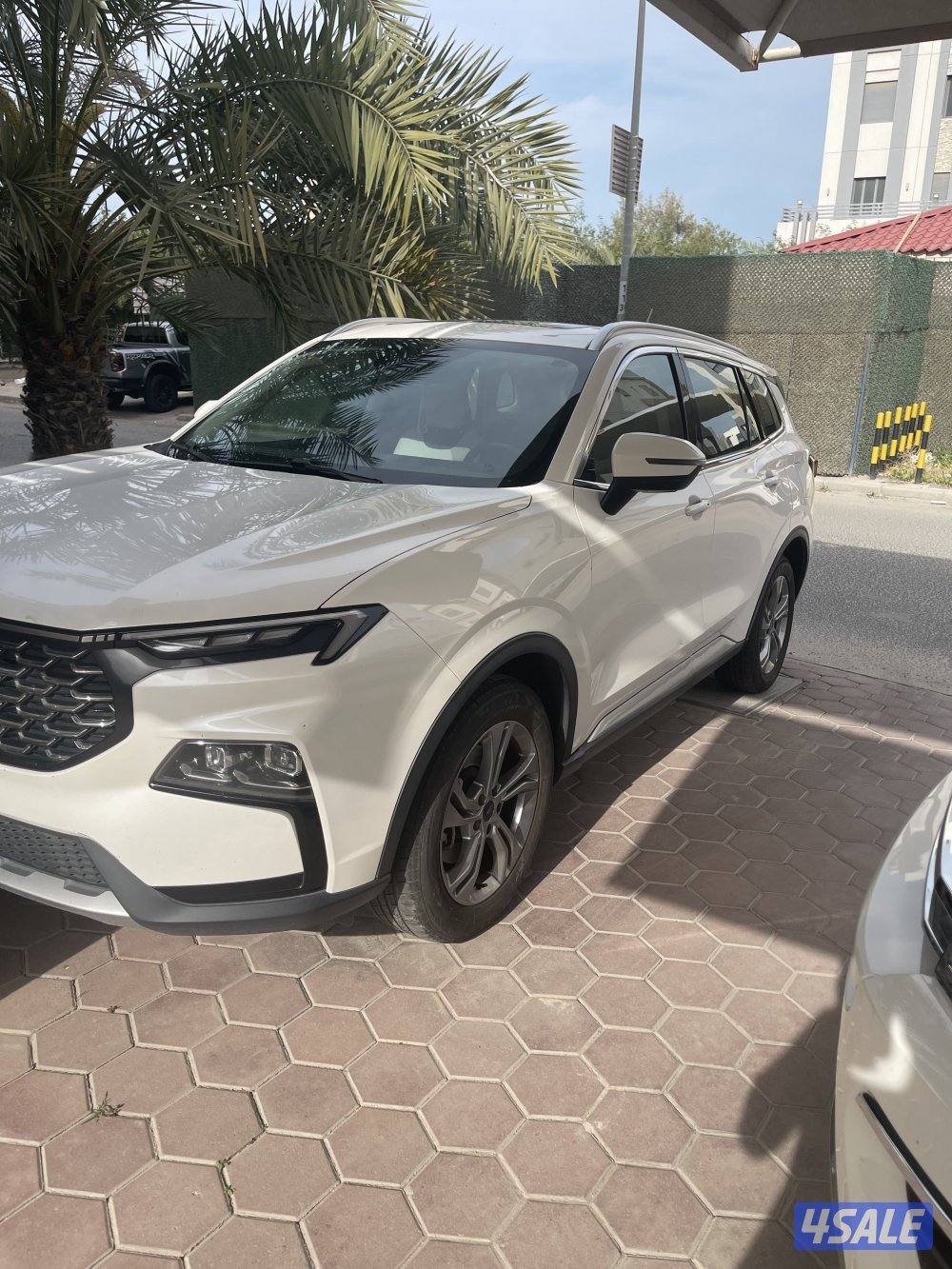 تيراتوري 2023 صبغ الوكاله0