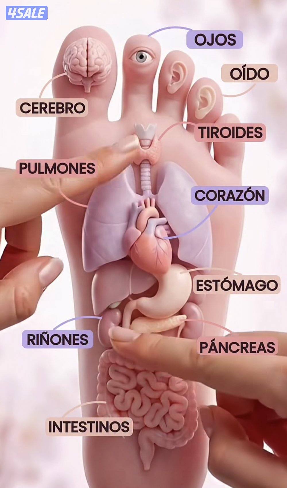 Sciatica & back pain treatment full body pain treatment spa or home s.1