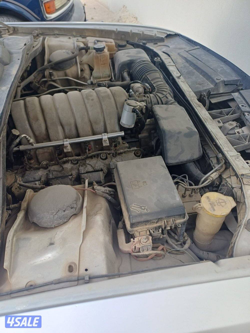 دودج شالنجر6