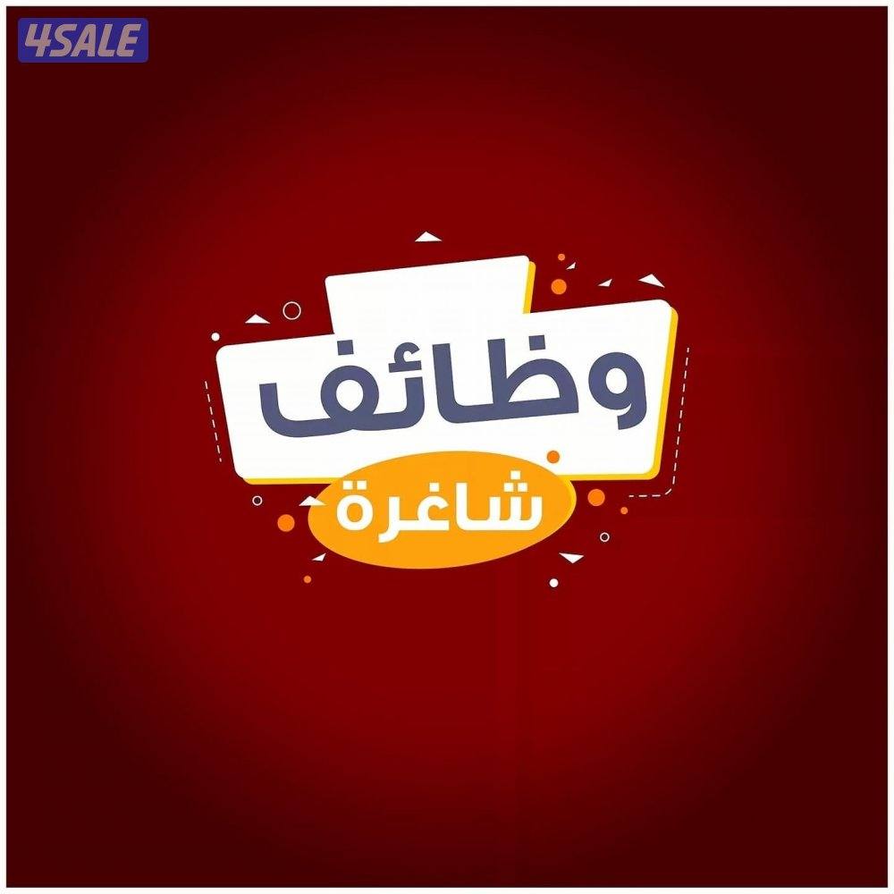 مطلوب وكيل لغنم صنف لديه خبرة ( سوري ، غير كويتي )0