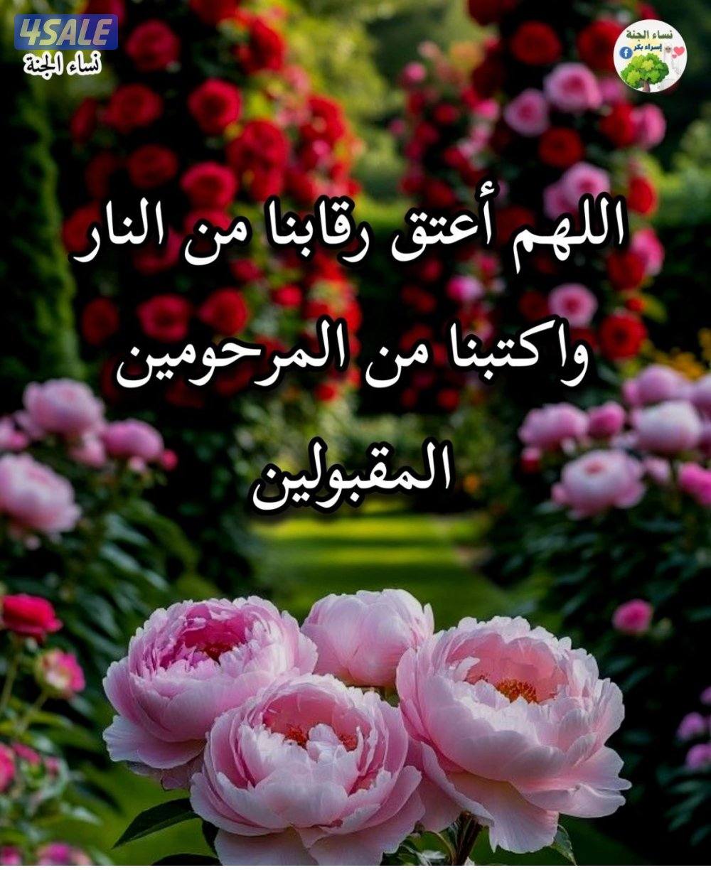 مدرس لغه عربيه وتربية اسلامية ومحفظ القران الكريم معلم للقراء الضعفاء0