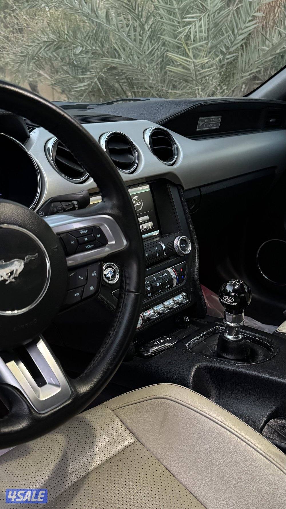 موستنق ٢٠١٥2