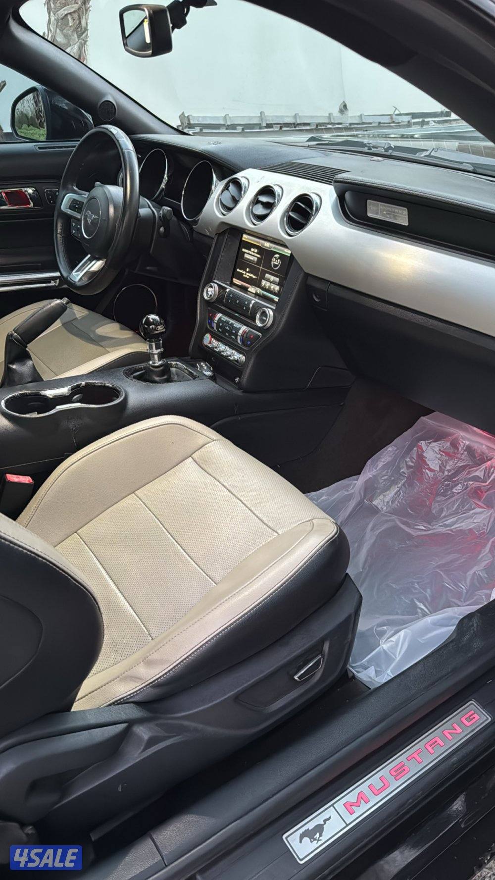 موستنق ٢٠١٥8