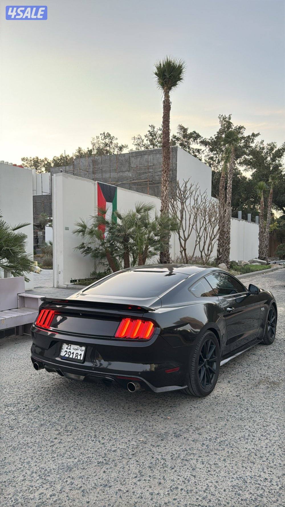 موستنق ٢٠١٥9