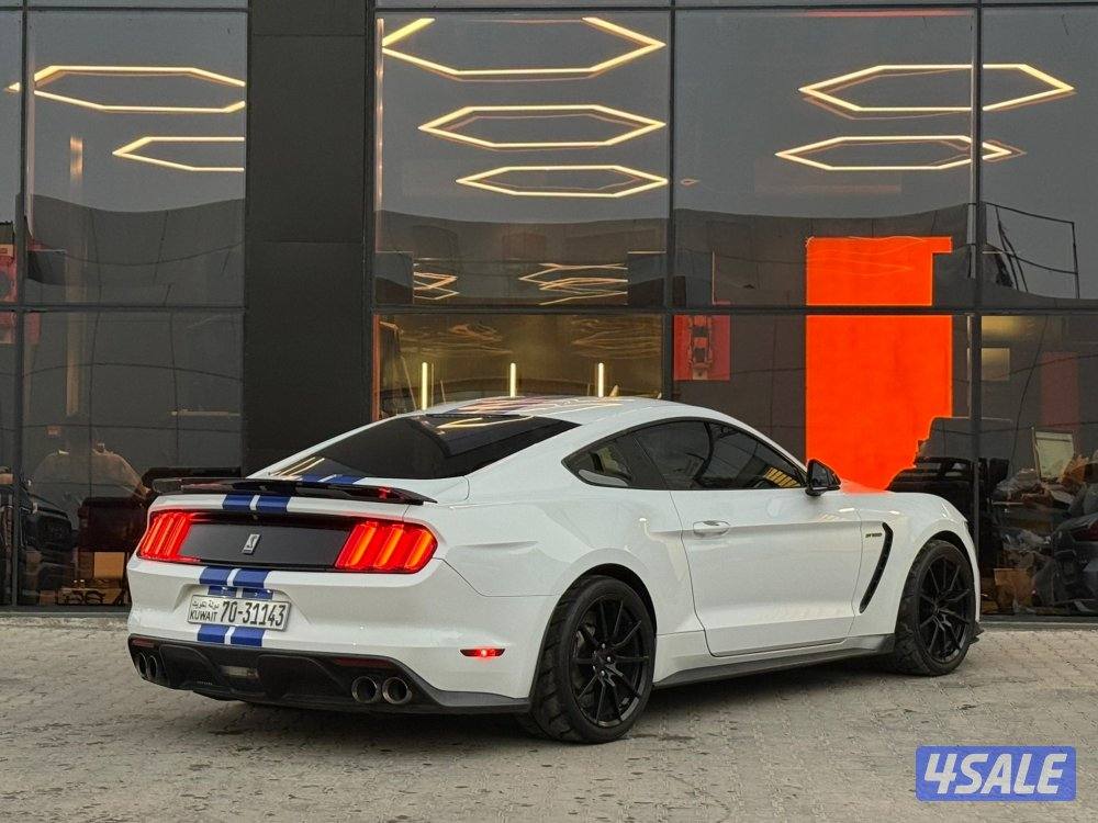 MUSTANG SHELBY GT350 _20164