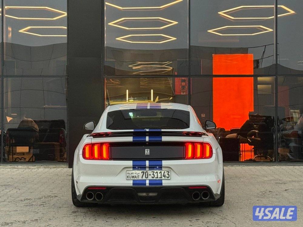MUSTANG SHELBY GT350 _20165
