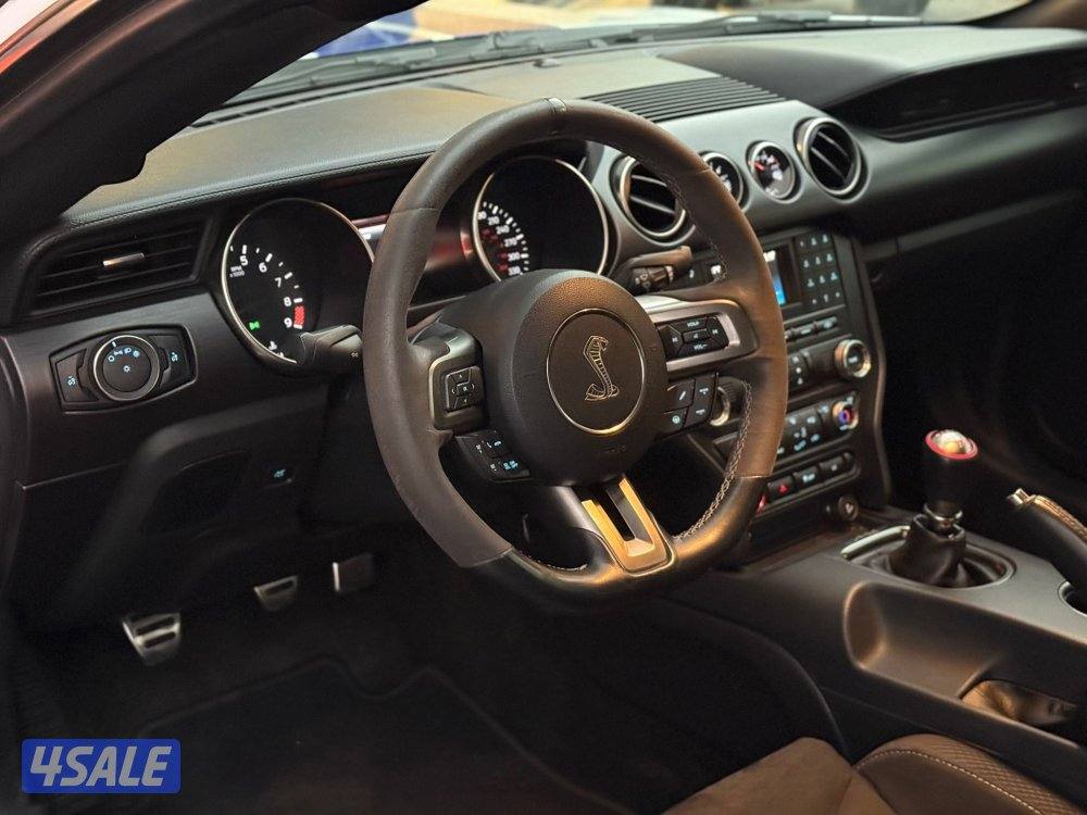 MUSTANG SHELBY GT350 _20166