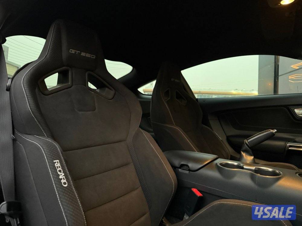 MUSTANG SHELBY GT350 _20169