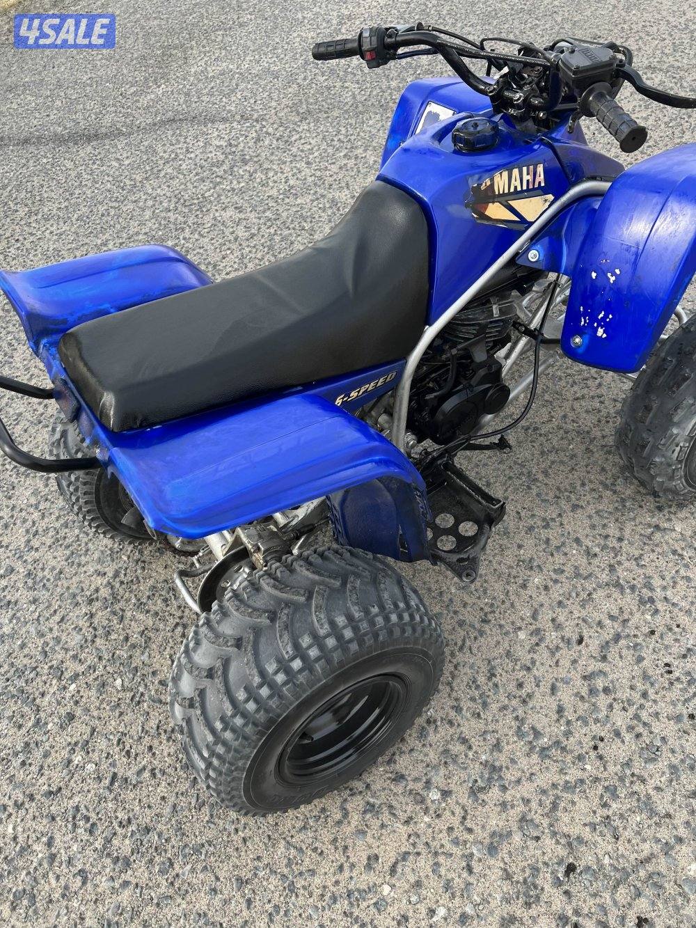 البيع بلاستر3