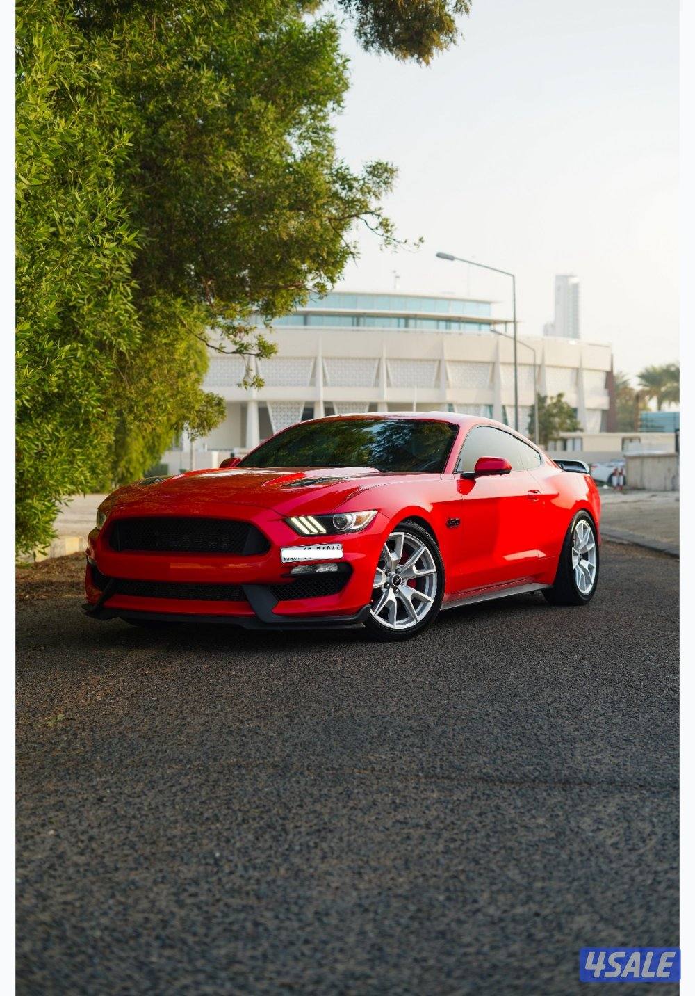 للبيع موستنق 2015 premium صبغ الوكاله عدا قطعه4