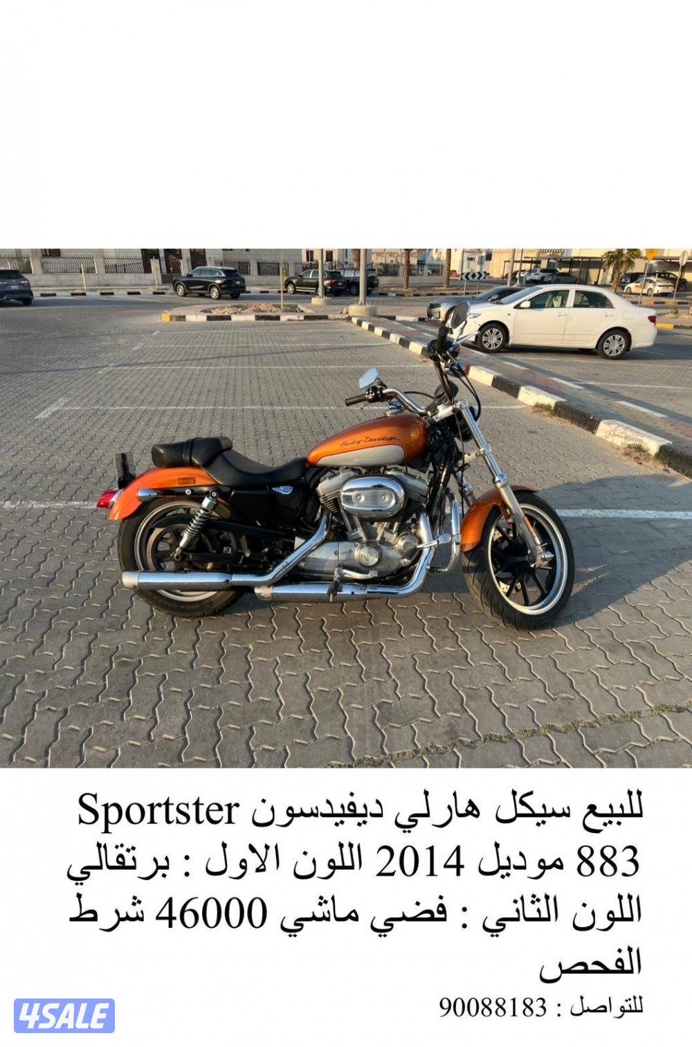 اللي يدور النظيف هارلي 20141