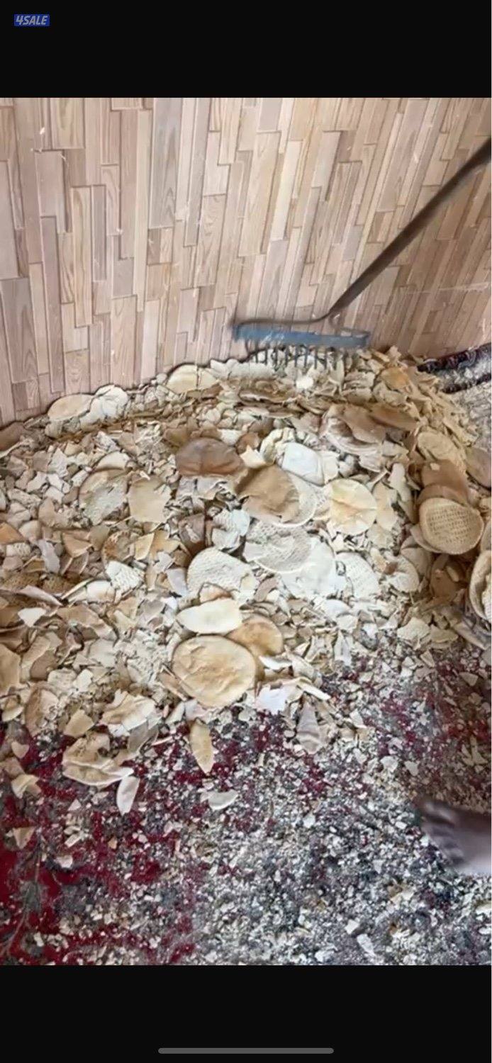 الصليبيه الزراعيه2