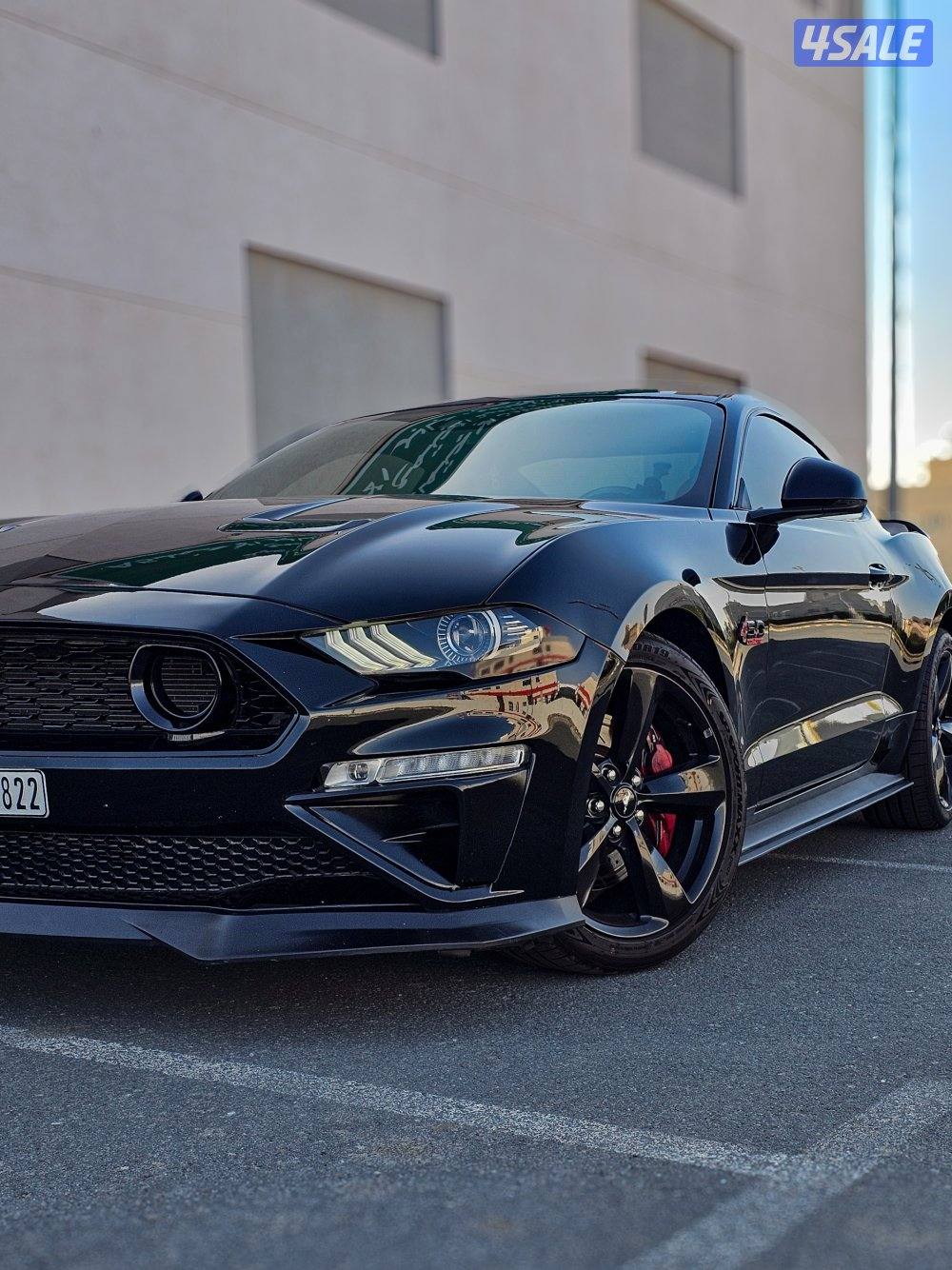 موستنق قير عادي0