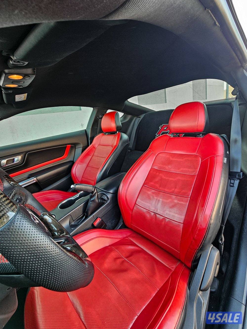 موستنق قير عادي3