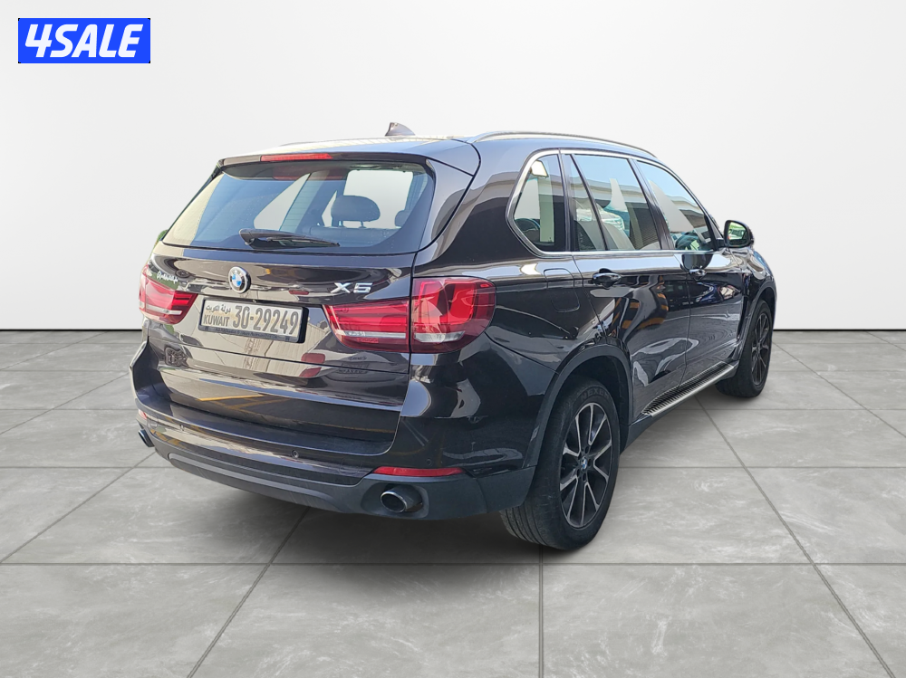 BMW X51