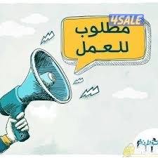 مطلوب للعمل سكرتير خبرة  من 3الي 5سنوات يجيد اللغة الانجليزية0