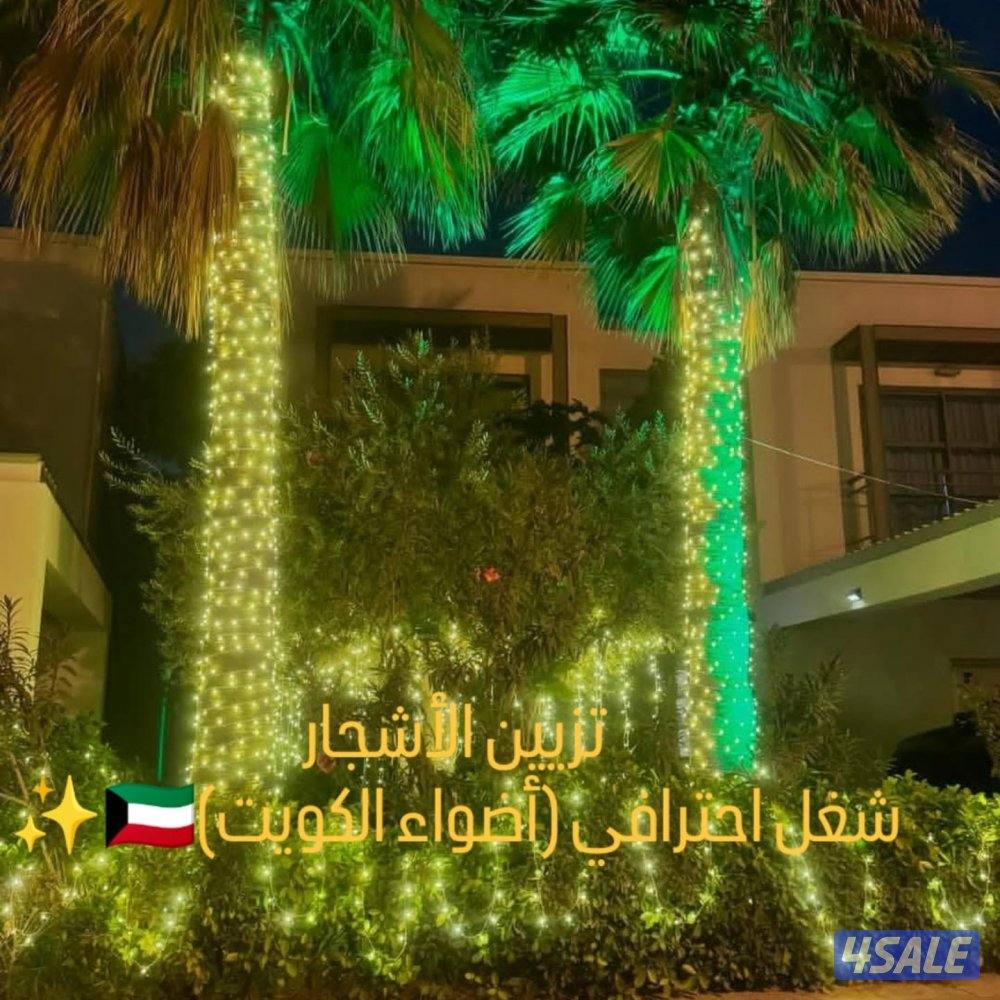 زينة أعراس وحفلات6