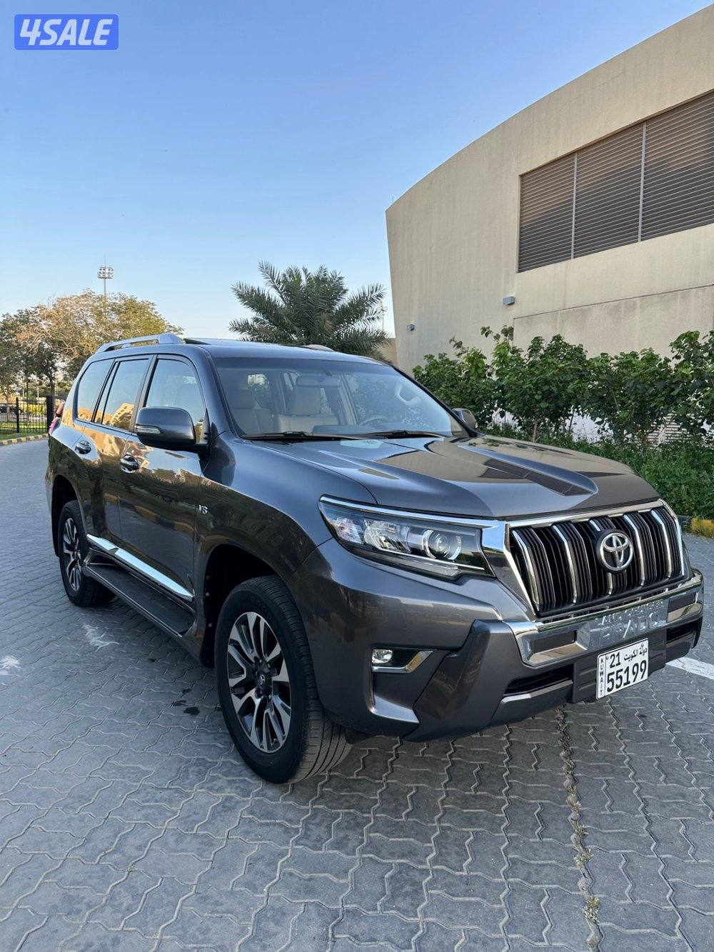 برادو صبغ الوكالة فتحة ثلاجة1