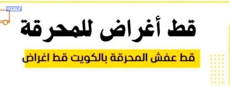 قط@اغراض@قط@اغراض@قط@اغراض@قط@اغراض9