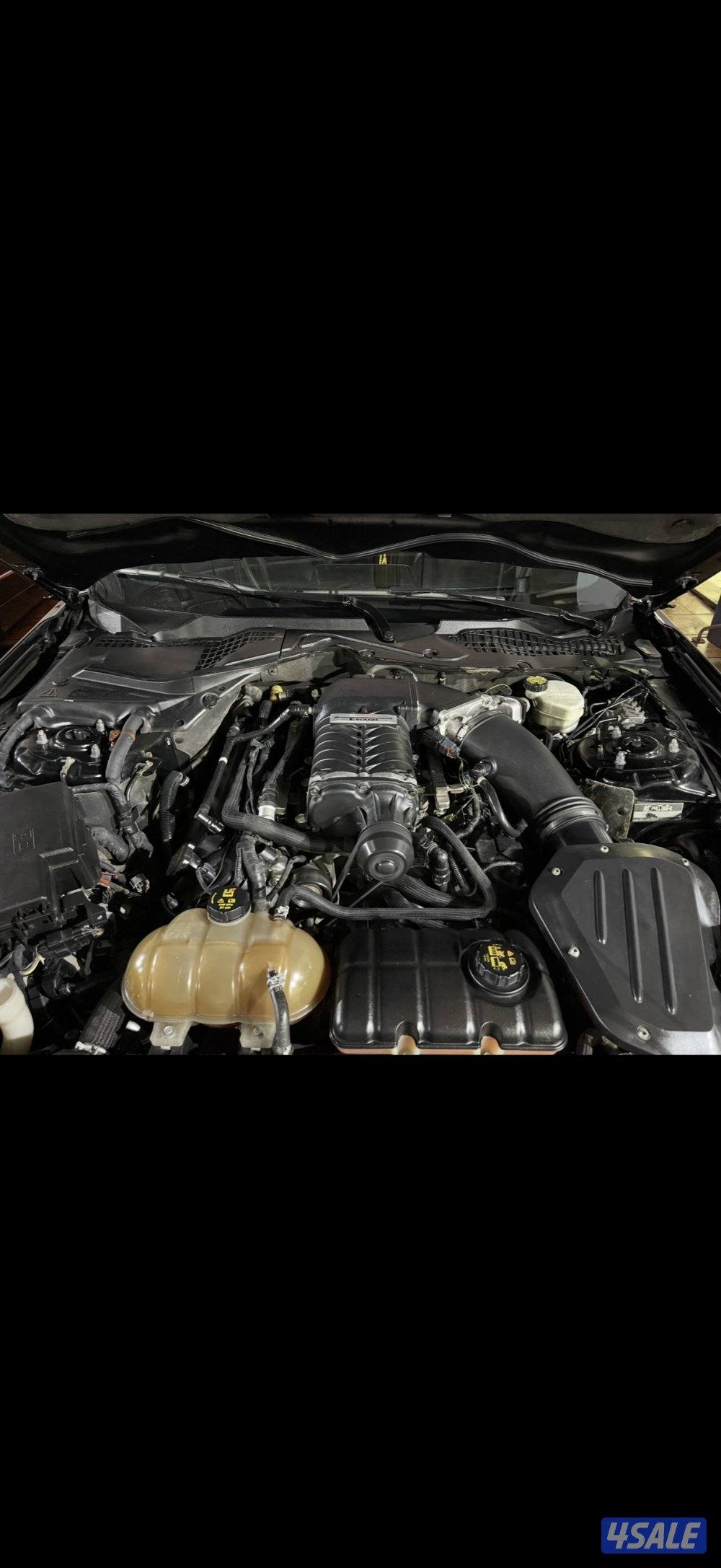 موستنج روش ستيج 3 سوبر جارج اصلي (( من النوادر ))6