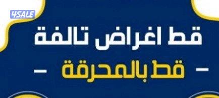 قط@اغراض@قط@اغراض@قط@اغراض@قط@اغراض11