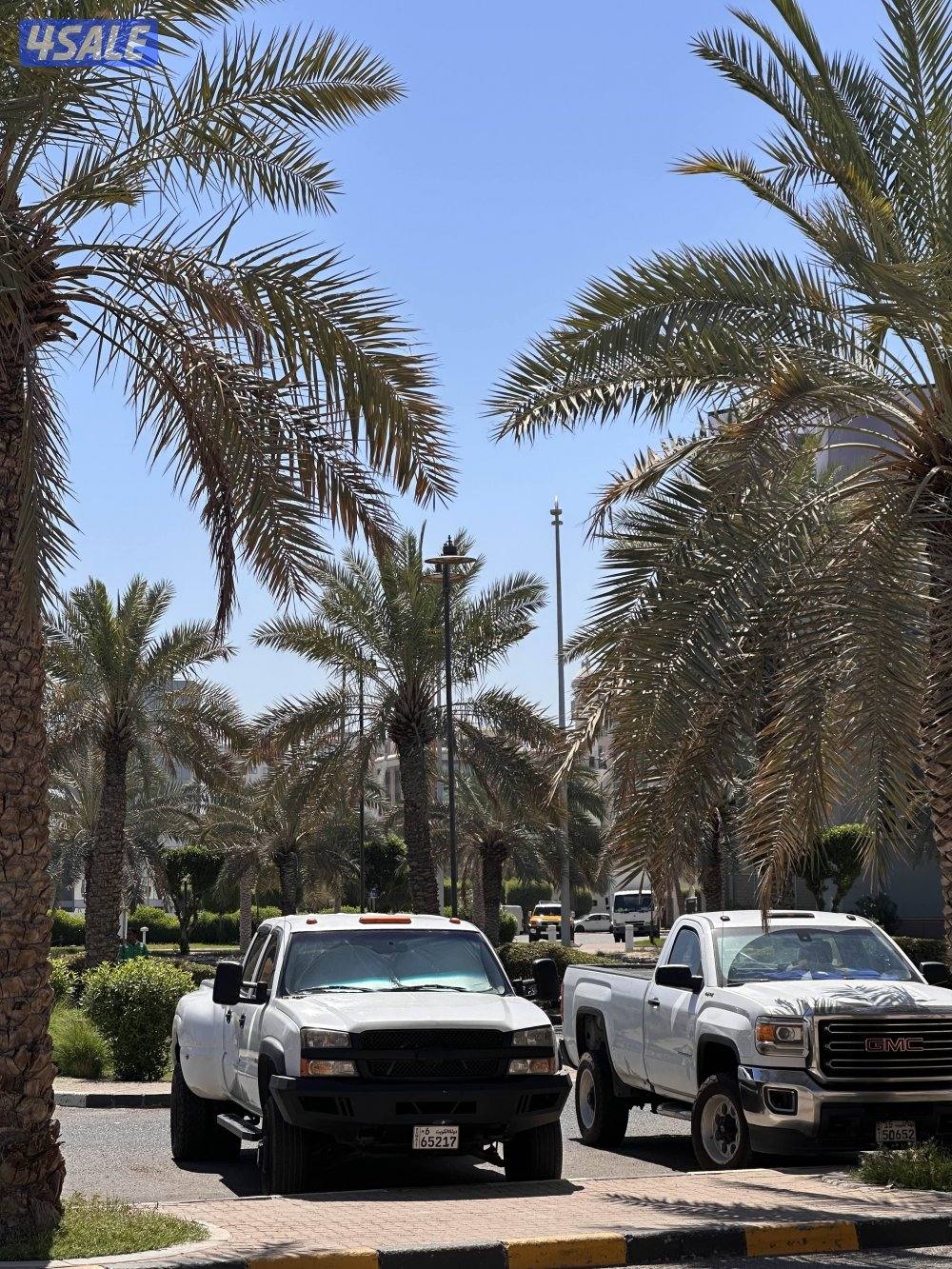 European owner, Chevrolet Silverado Dully , good condition2