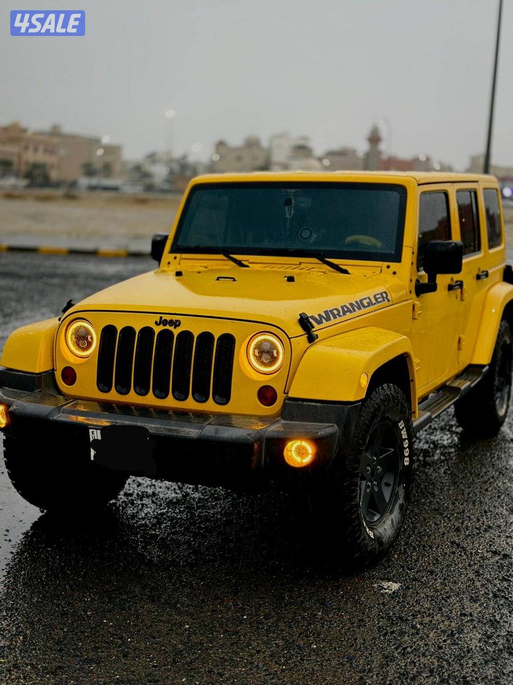 صحارى ٢٠١٥4