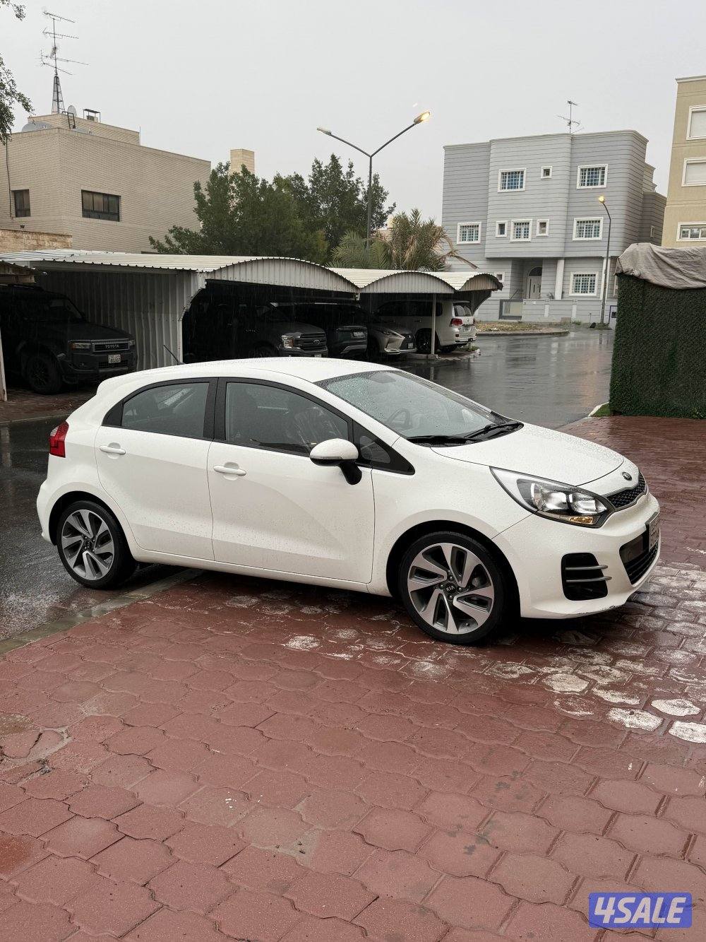 ريو عداد 34 فقط10